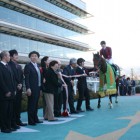 アーリントンカップ観戦 2011年2月26日（土） 阪神競馬場