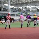 The Arlington Cup Horse Race 2013, Saturday, February 25, 2013 at Hanshin Race Track