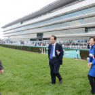 The Arlington Cup Horse Race 2013, Saturday, February 25, 2013 at Hanshin Race Track