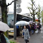 Field Trip "Kitano Shrine’s Cherry Blossoms and Suntory Yamazaki Distillery", Saturday, April 6, 2013