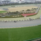 2016　アーリントンカップ観戦　~Arlington Cup Horse Race 2016 ~ @Hanshin Race Track