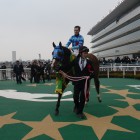 2016　アーリントンカップ観戦　~Arlington Cup Horse Race 2016 ~ @Hanshin Race Track