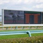 Arlington Cup Horse Race 2017 @Hanshin Racetrack on Feb 25, 2017